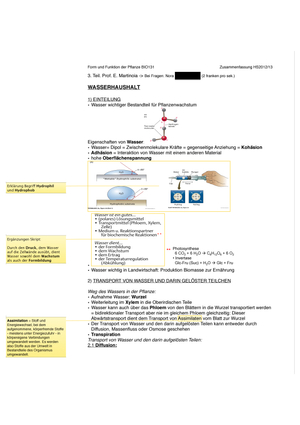 BIO 131 Zusammenfassung Teil 3