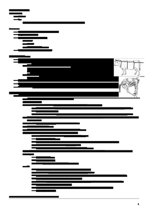 Propädeutik Alles Rind