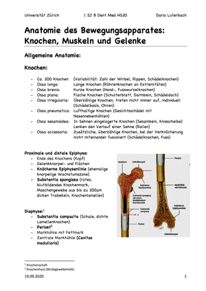 Allgemeine Anatomie HS20