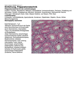 Histo 2018 inkl. Bilder