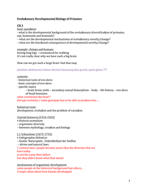 evo_devo_primates