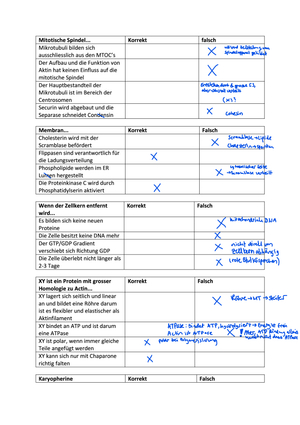 Titel des Files