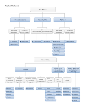 Anästhesie Medis Überblick