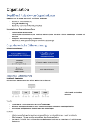 ZF_Organisation&Kultur