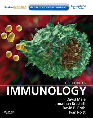 Buch Immunology (Male / Brostoff / Roth / Roitt)