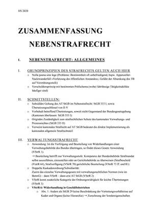 Zusammenfassung Nebenstrafrecht (MA)