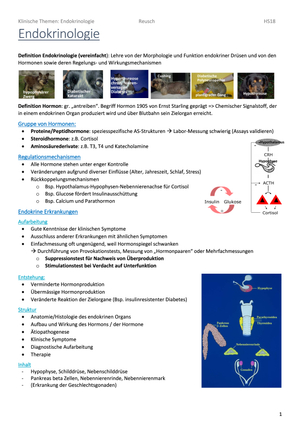 Endokrinologie Zusammenfassung PDF