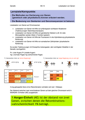 VIII Lokalisation von Genen