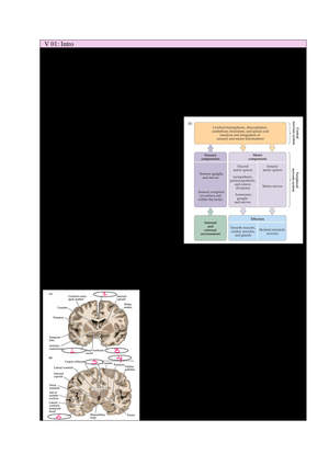 Zusammenfassung in Fragen und Antworten