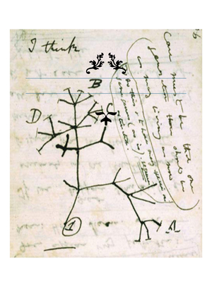 BIO228 Evolutionary Medicine Summary in questions and answers format