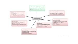Forensische Psychiatrie Mindmaps
