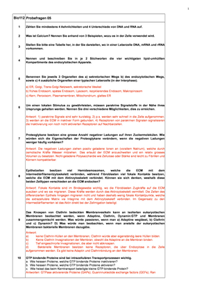 Titel des Files