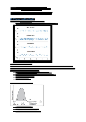 Prüfungsbericht Kognitive Neuro FS17