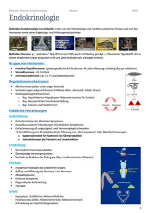 Endokrinologie Zusammenfassung word-Datei
