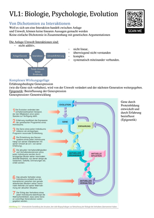 Biopsychologie 1