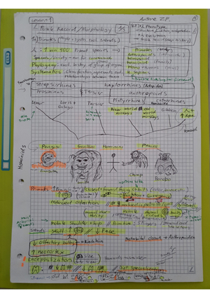 AnthroZFHS19 - Last minute survival-Stoff
