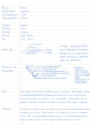 Zusammenfassung Pflanzen