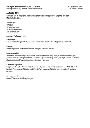 Titel des Files