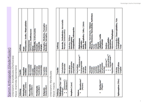 Titel des Files