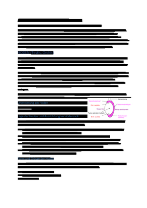 ZF männl. Geschlechtsorgane Anatomie 1.JK