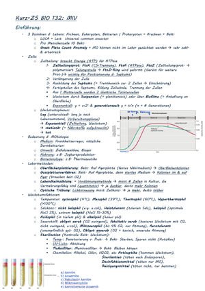 Kurz-Zusammenfassung BIO 132 HS24