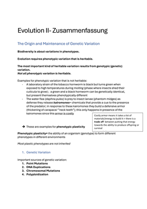 Evolution II ZF FS24