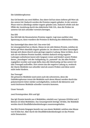 BCH 203 Versuch 10 - Unterlagen