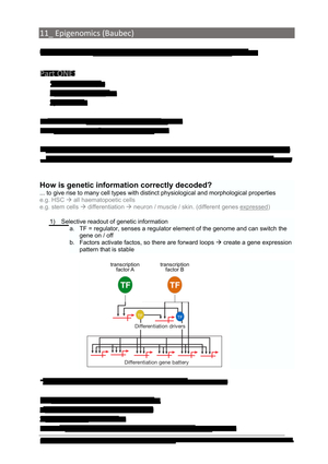 11_Epigenetics