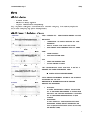 Zusammenfassung HS17