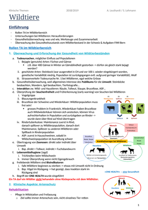 Wildtiere Zusammenfassung word-Datei
