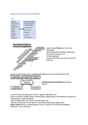 Kognitive Neurowissenschaften FS20