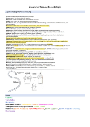 Titel des Files