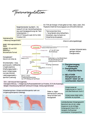 Thermoregulation Physio