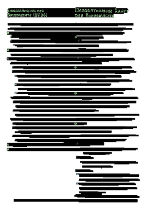 Schemata Öffentliches Recht II