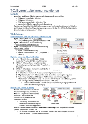 Immunologie: T-Zell-Effektorfunktionen (6)