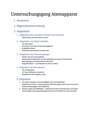 Untersuchungsgang Atemapparat Pferd