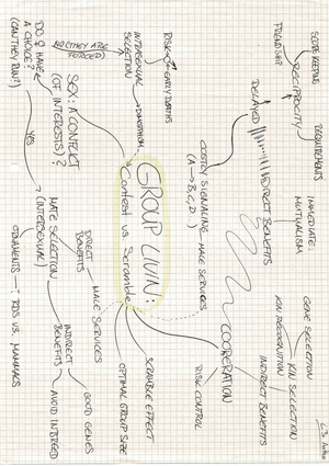 Kapitelübersicht: Ein paar VanSchaik Mindmaps