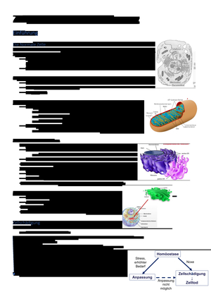 Zellpathologie HS 22