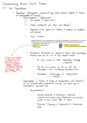 Klassische Genetik: Praktikumszusammenfassung