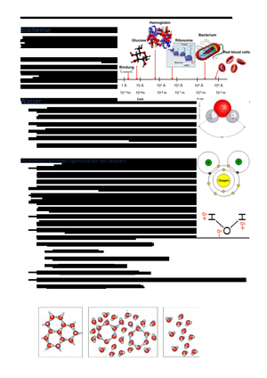 Biochemie I Santoro pt I