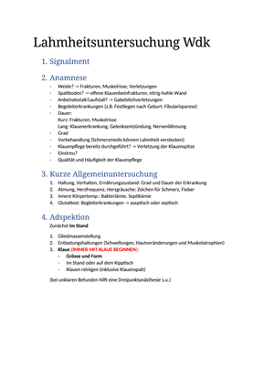 Lahmheitsuntersuchung Wdk
