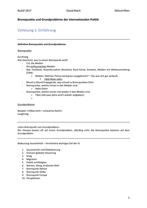 Brennpunkte ausführliche Mitschrift 2017
