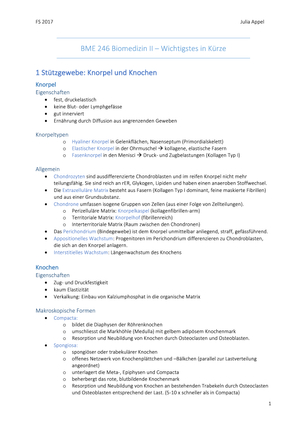 BME 246 Wichtigstes in Kürze