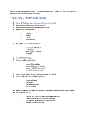 Titel des Files