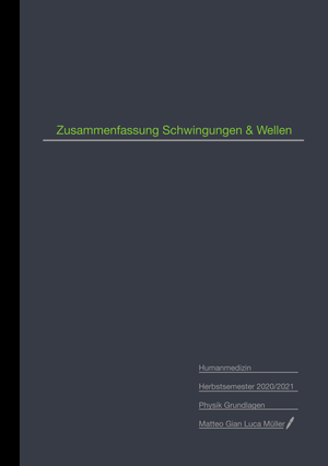 Schwingungen & Wellen