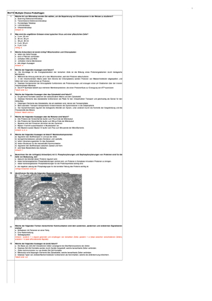 Titel des Files
