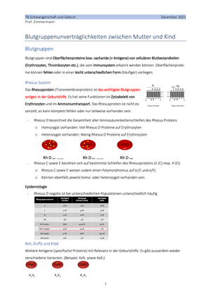Titel des Files
