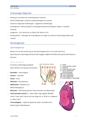 Titel des Files