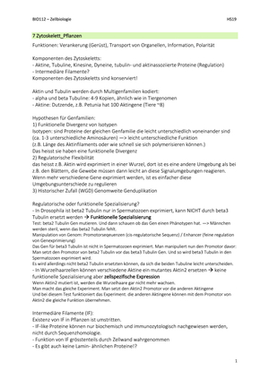 Titel des Files