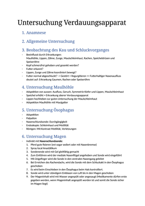 Untersuchung Verdauungsapparat Pferd